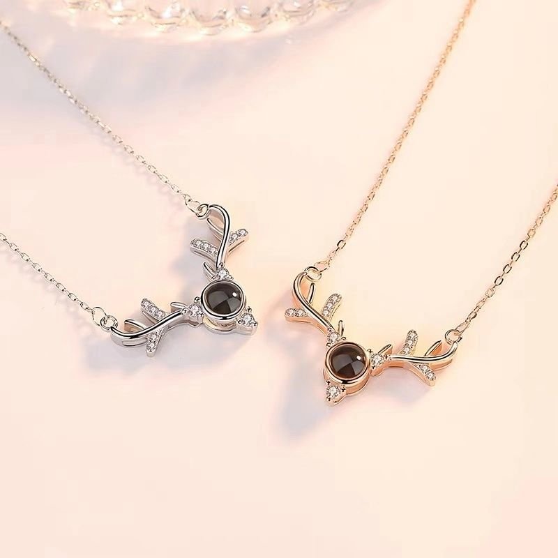 Custom Hidden Photo Projection Deer Antlers Necklace - Hidden Forever